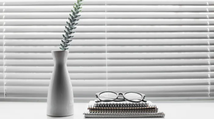 zebra blinds